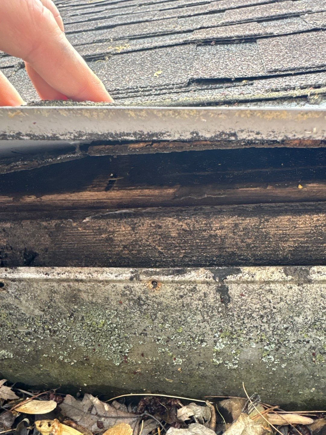 Roof Leak Detection New Whiteland: Commercial Buildings